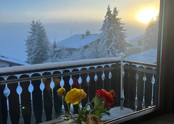 Lägenhet Helle Mit Grossem Balkon Oberreute
